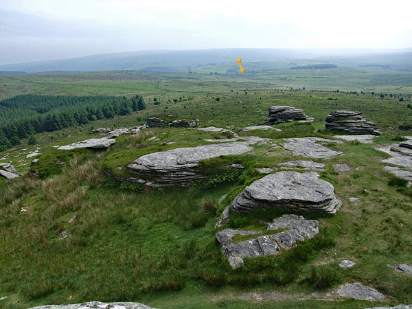 View roughly south from Bellever Tor pointing to where the loudest noise came from