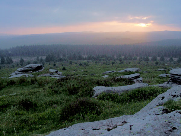 From Bellever Tor near sunset, looking over the forestry on its west side
