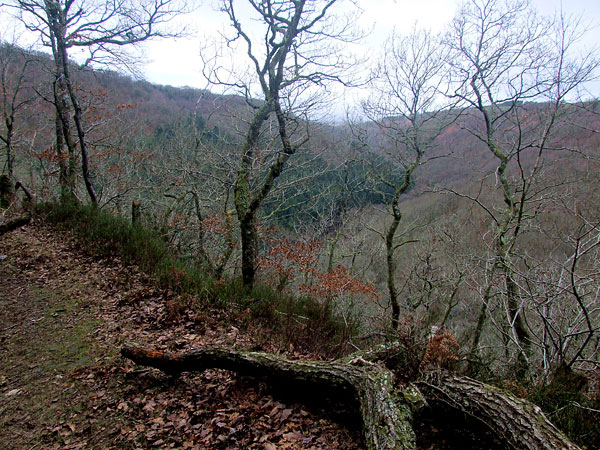 On Lower Deer Stalker's Path, overlooking valley