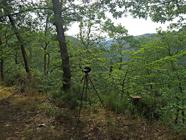 Recording already started, late afternoon