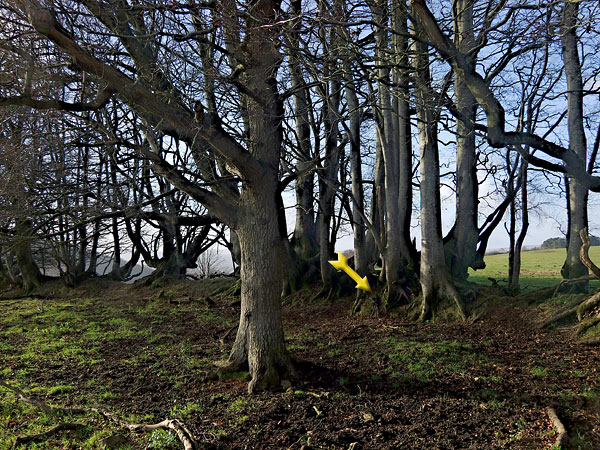 Recording taking place; arrow points to it