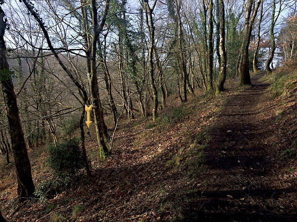 This recording taking place -- looking along Hunter's Path