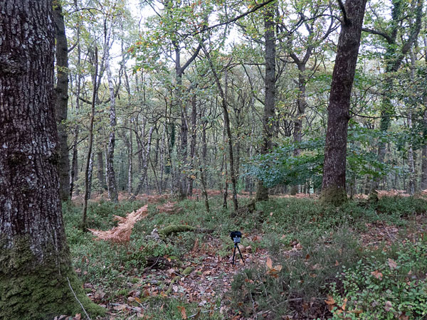 This recording in progress